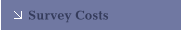 Survey Costs