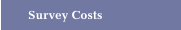 Survey Costs
